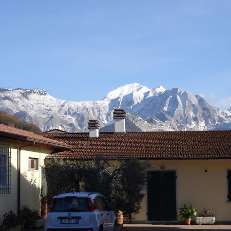 Merlo D'Oro Carrara Exteriör bild